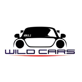 WILDCARS